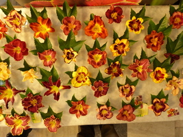 Foto: Dr. Peter Müller